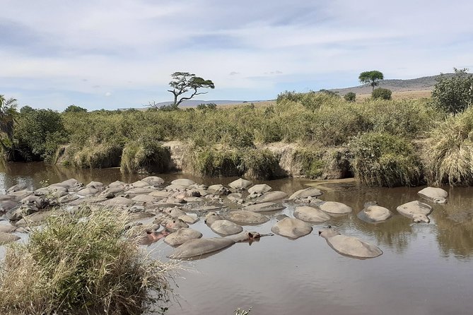 SERENGETI NATIONAL PARK Tour - Safety and Accessibility