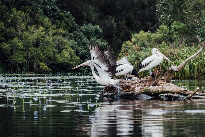 Serenity Cruise to Australia's Everglades - Logistics