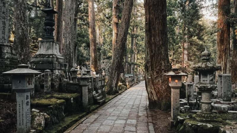 Serenity & Sacred Sites: Koyasan Full-Day Guided Walk - Good To Know