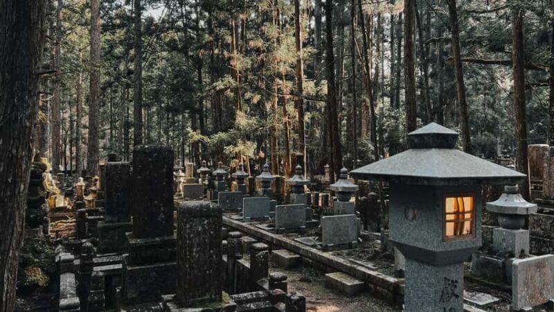 Serenity & Sacred Sites: Koyasan Full-Day Guided Walk - An In-Depth Look at the Koyasan Sacred Walk