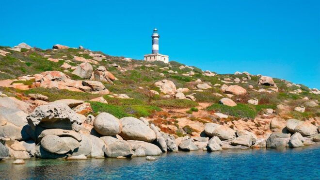 Serpentara-Cavoli Island Rubber Boat Tour With Snorkeling - Background