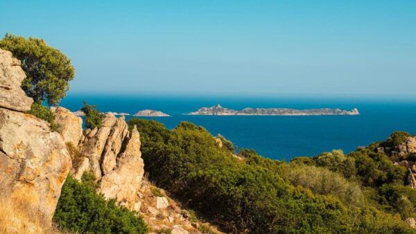 Serpentara-Cavoli Island Rubber Boat Tour With Snorkeling - Frequently Asked Questions