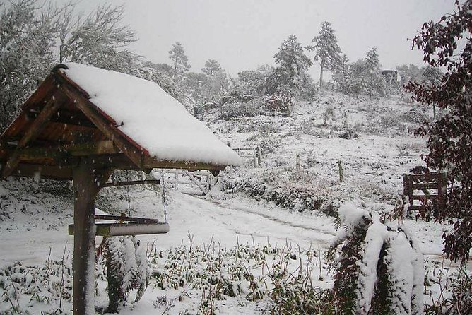 Serra Catarinense - Must-Visit Spots in Serra Catarinense
