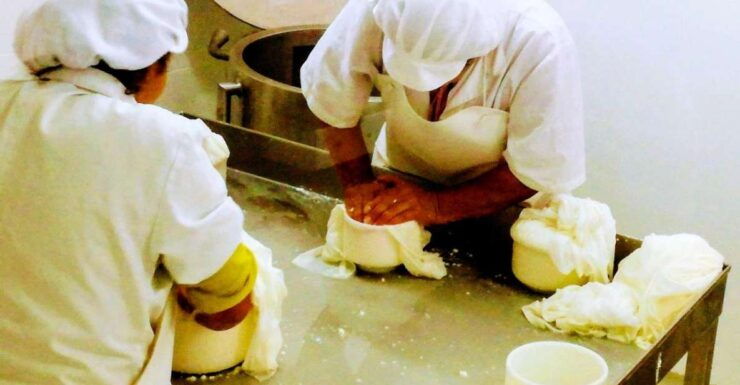 Serra Da Estrela, Cheese Factory, Bread Museum & Embroidery - Tasting Session of Serra Da Estrela Cheese