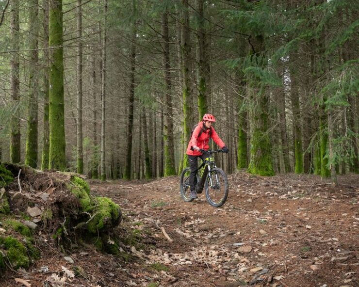 Serra Da Estrela: Private E-Bike Tour With Observatory - Tour Duration and Guide Availability