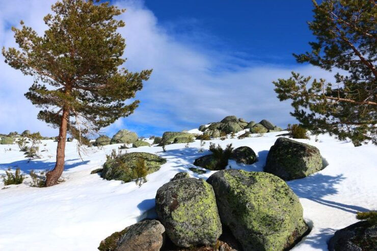 Serra Da Estrela Private Tour - Tour Overview