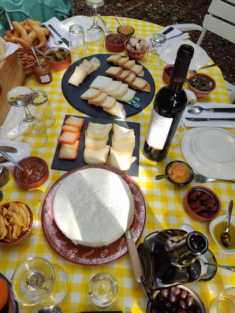 Serra da Estrela: Serra da Estrela cheese tasting - Review Highlights and Authentic Insights