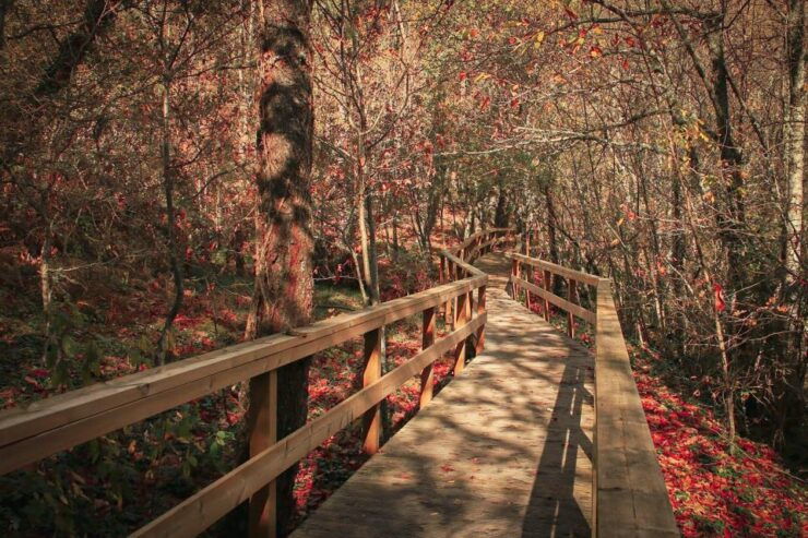 Serra Da Estrela: Valleys, Waterfalls and Mysticism-Private Tour - Tour Overview
