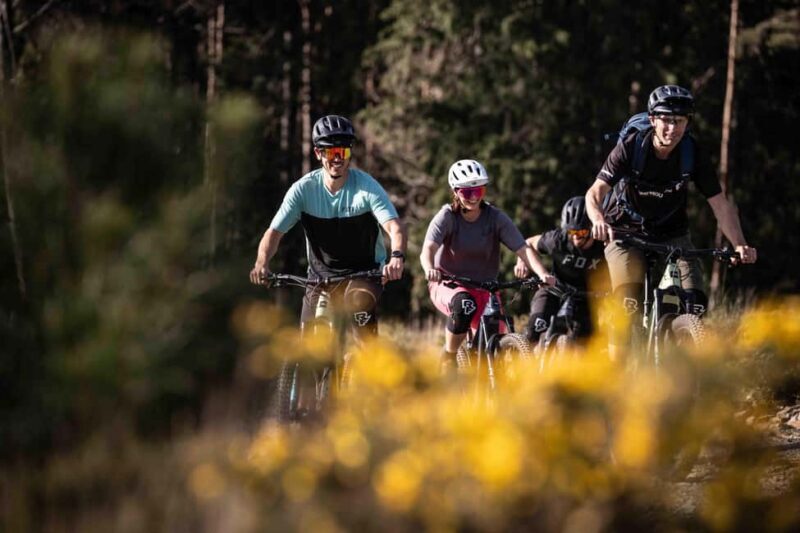 Serra da Lousã: Aldeias do Xisto Bike Tour with Local Guide - Practical Details