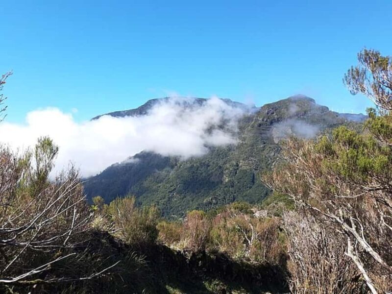 Serra dÁgua: A Scenic Levada Walk - Good To Know