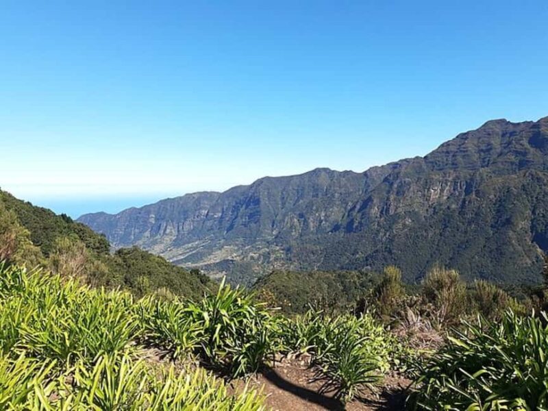 Serra dÁgua: A Scenic Levada Walk - An In-Depth Look at the Serra d’Água Guided Tour