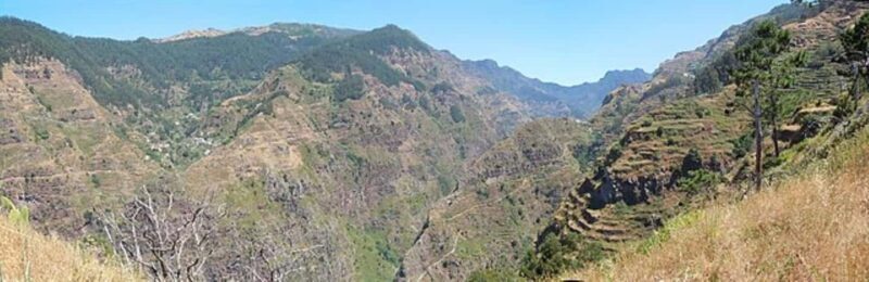 Serra dÁgua: A Scenic Levada Walk - FAQs