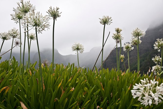 Serra D'água - Activities and Attractions