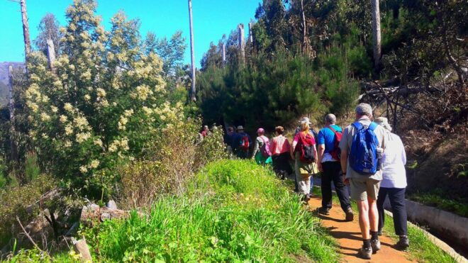 Serra De Água Valley Levada Walk - Experience Highlights