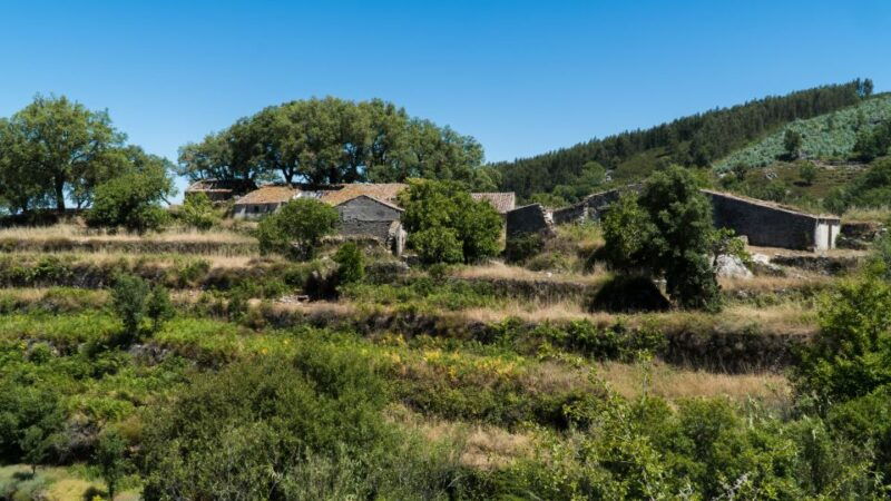 Serra de Monchique & Bravura Half Day Off-Road Day Trip - The Itinerary Breakdown: More Than Just a Scenic Drive