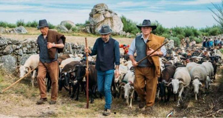 Serra De Montemuro Shepherds Trail Tour - Itinerary Highlights