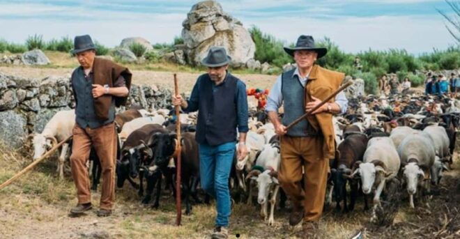 Serra De Montemuro Shepherds Trail Tour - Cultural Experiences