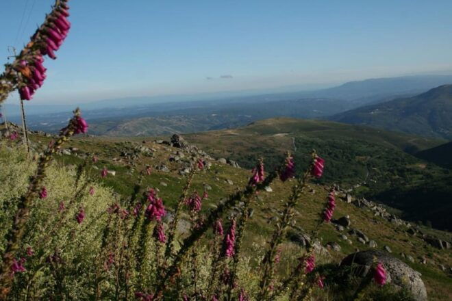 Serra De Montemuro Shepherds Trail Tour - Wellness Component