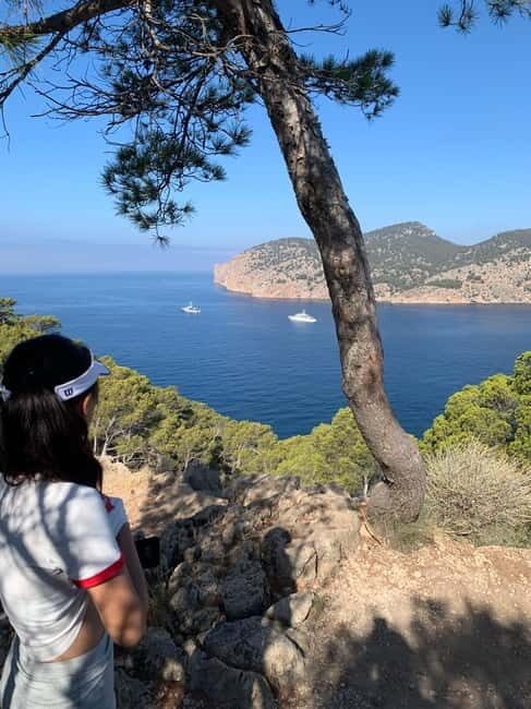 Serra de Tramuntana: Easy coastal hike with beautiful views - Highlights That Make This Experience Special
