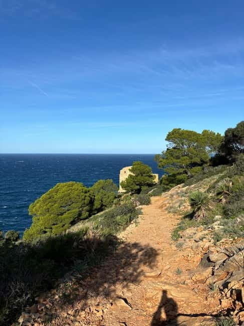 Serra de Tramuntana: Easy coastal hike with beautiful views - Who Will Love This Tour?
