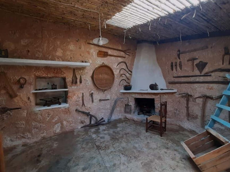 Serra de Tramuntana, Fornalutx: The olive tree: culture, cultivation, tasting. - Final Thoughts