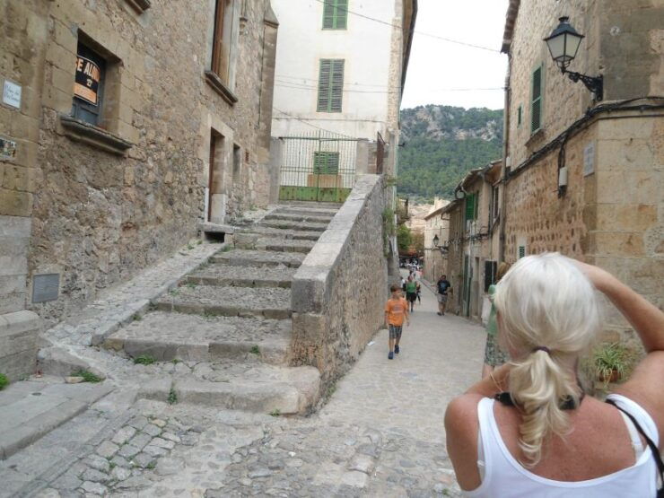 Serra De Tramuntana Half-Day Tour: Soller and Valldemosa - Inclusions
