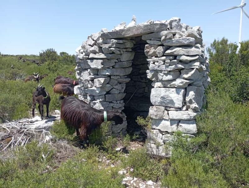 Serra dos Candeeiros by Van: Natural Park and Cave - Final Thoughts