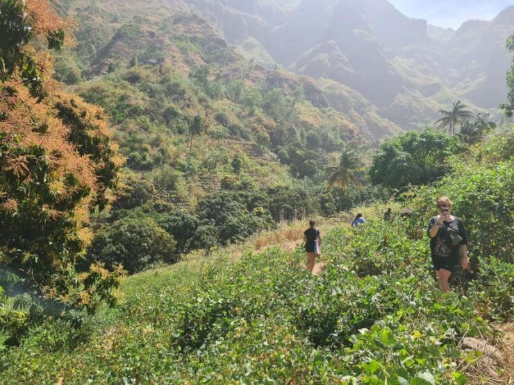 Serra Malagueta-Ribeira Principal: Hiking in a Unique Place - Activity Details
