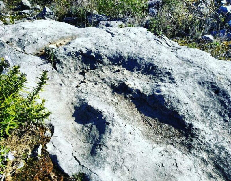 Serras de Aire e Candeeiros: Nature & Geology Exploration - Practical Details & What to Expect