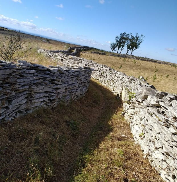 Serras de Aire e Candeeiros: Nature & Geology Exploration - Why This Tour Stands Out