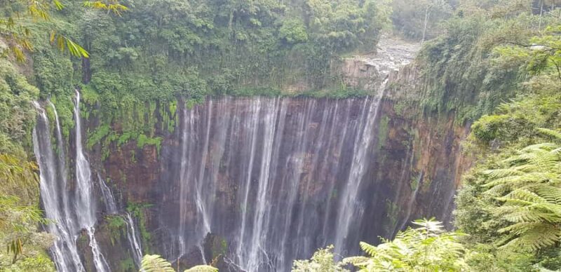 Serving Private tour Bromo-Ijen-tumpaksewu - Who Will Love This Tour?