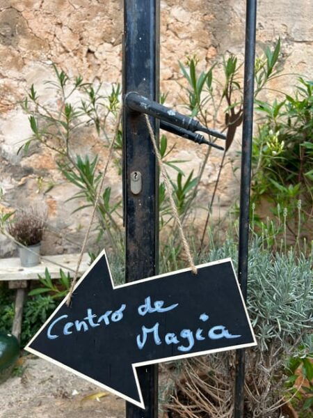 Ses Salines -Vida Magica: Visit Center of Magic&Tea Ceremony - Exploring Casa Magica