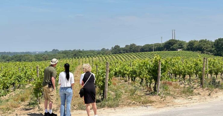 Sesimbra: 2 Wine Tastings, Glazed Tiles and Fish Market - Itinerary Highlights