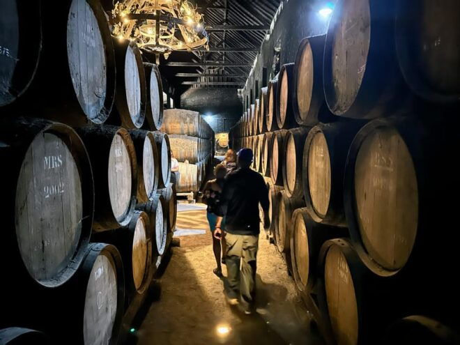 Sesimbra: 2 Wine Tastings, Glazed Tiles and Fish Market - Activities Included