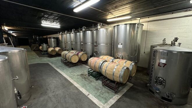Sesimbra: 2 Wine Tastings, Glazed Tiles and Fish Market - Transportation and Amenities