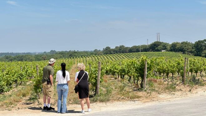 Sesimbra: 2 Wine Tastings, Glazed Tiles and Fish Market - Exploration of Quinta De Catralvos