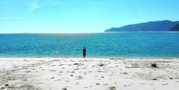 Sesimbra and Arrábida Natural Park: 1 Day Tour & Wine Tasting - Tour Highlights