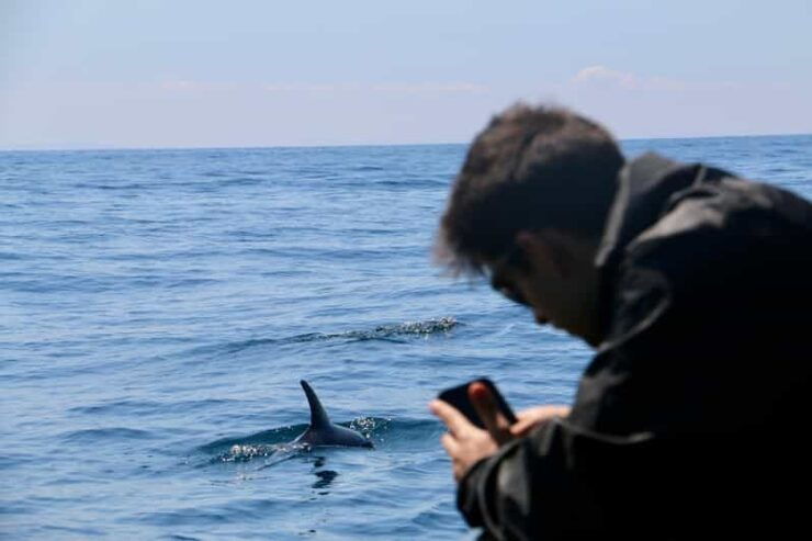 Sesimbra & Arrabida: Dolphin Watching Tour - Good To Know