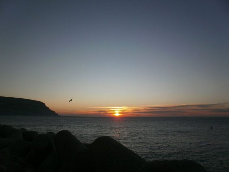 Sesimbra/Arrábida: Sunrise on Board Tour - Booking Details