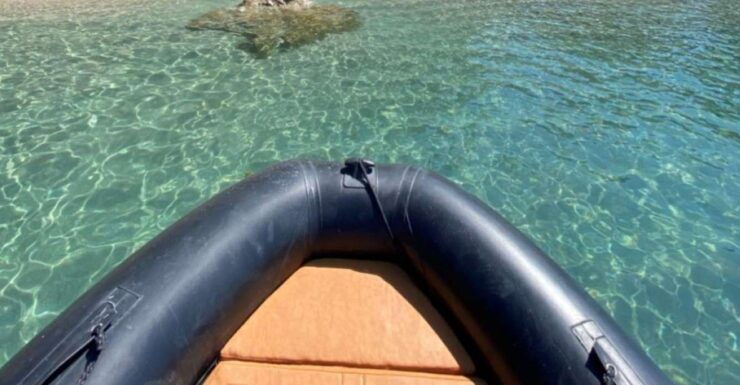 Sesimbra: Dolphin Watching in Costa Azul - Experience Highlights
