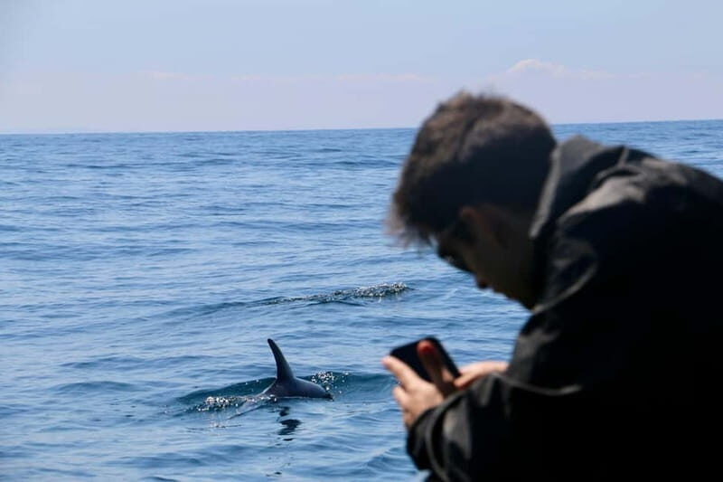 Sesimbra: Dolphin watching with marine biologist - Final Thoughts