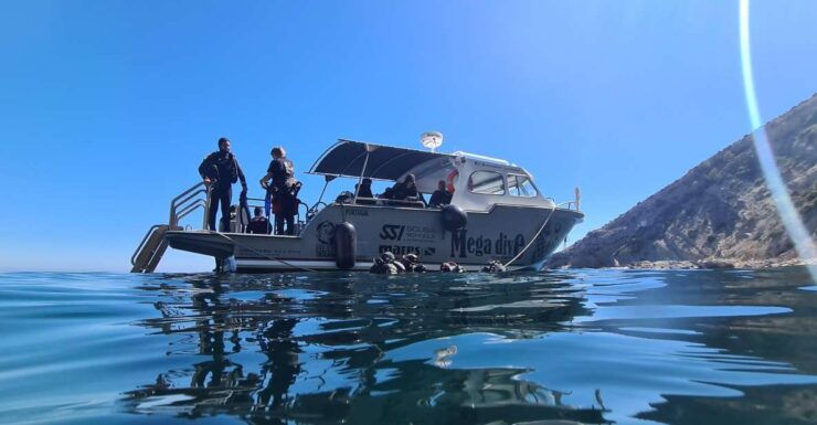Sesimbra: Double Dive on a Marine Reserve - Activity Details