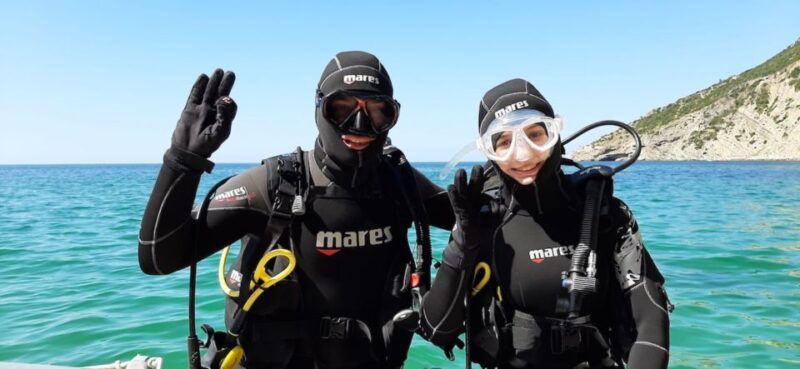 Sesimbra: First Scuba Diving Experience in the Ocean - Marine Life Viewing and Snorkeling: The Heart of the Experience