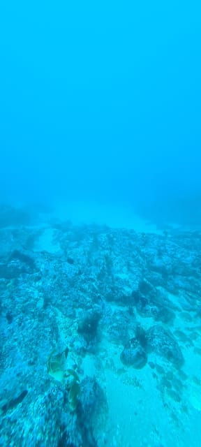 Sesimbra: First Scuba Diving Experience in the Ocean - Returning to Sesimbra & Post-Activity Comforts