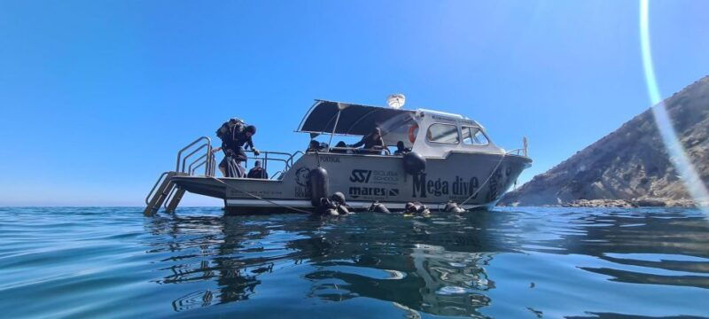 Sesimbra: First Scuba Diving Experience in the Ocean - Final Thoughts: Why This Tour Stands Out