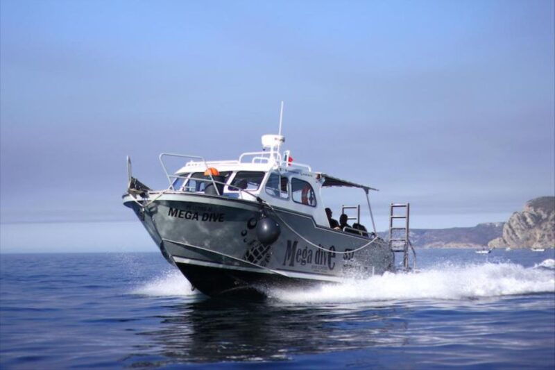 Sesimbra: First Scuba Diving Experience in the Ocean - FAQ