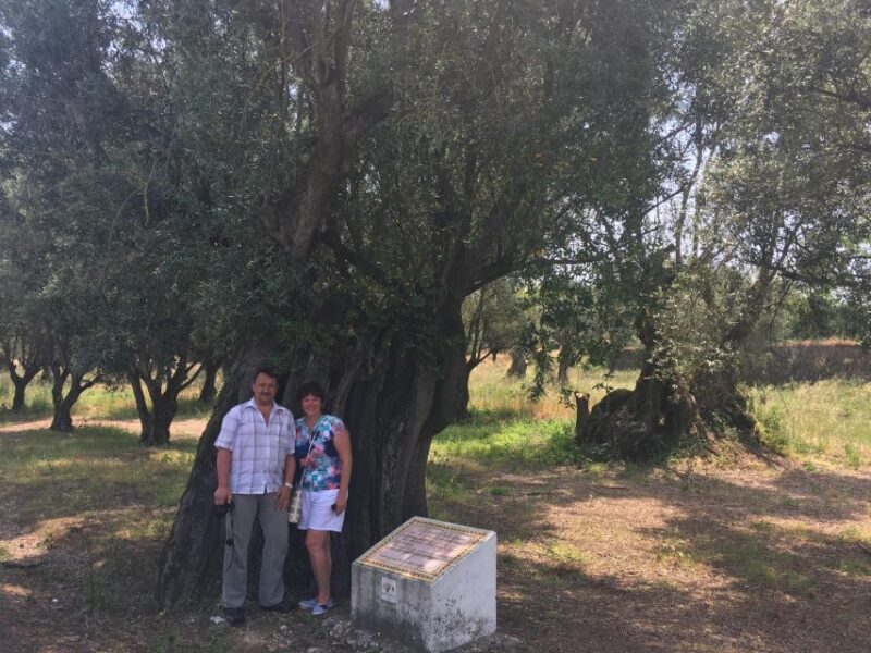 Sesimbra: Half-Day Tour to Arrabida with Wine Tasting - A Closer Look at the Tour Itinerary