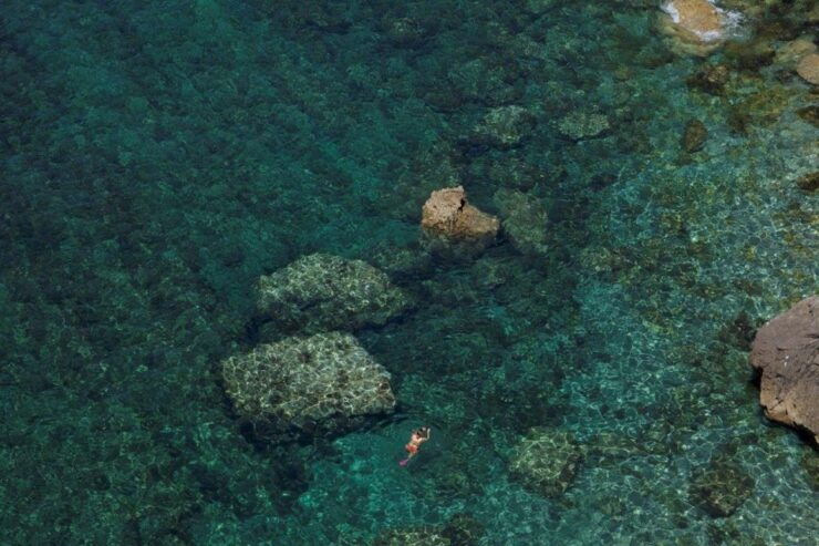 Sesimbra: Kayak Tour in Arrábida Natural Park - Experience Highlights of the Tour