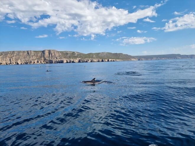 Sesimbra: Private Boat - Beach and Caves - Itinerary and Stops