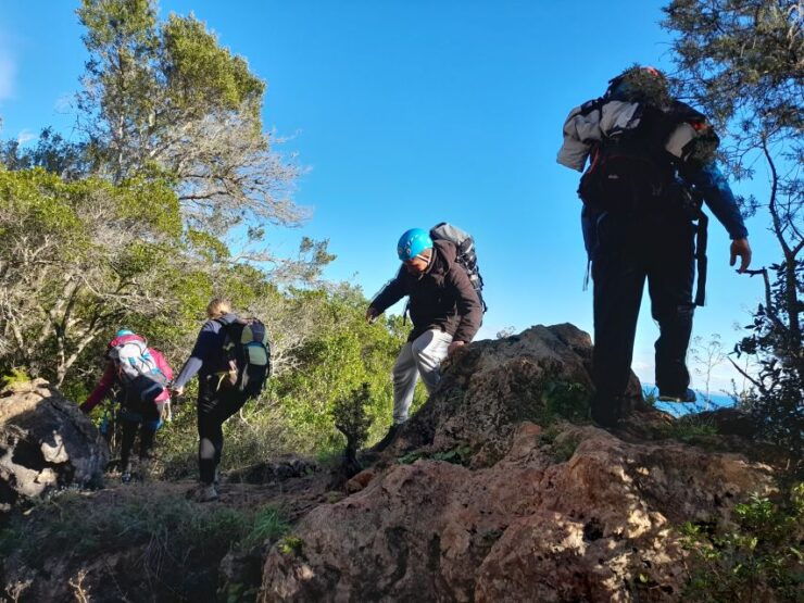Sesimbra: Rock Climbing & Abseiling in Arrábida Natural Park - Activity Details